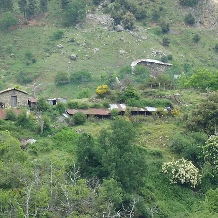 Casa Themesen